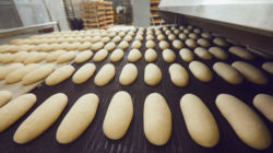 Unmade loaves of bread in bakery factory