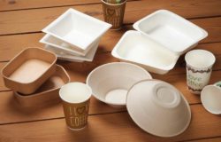  Food packaging with compostable extrusion coating