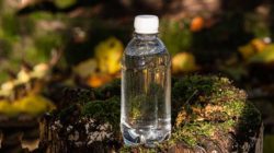 A bottle made of bioplastic stands on top of a moss covered tree stump.