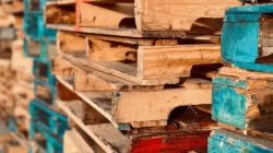 Colourful wooden pallets